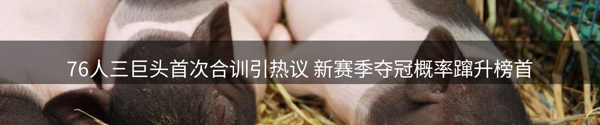 综合资讯